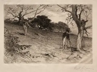 An Old New England Orchard, by George Henry Smillie, 1883