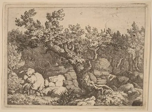 Sportsman near a Large Tree, by Allart van Everdingen, ink, 1650