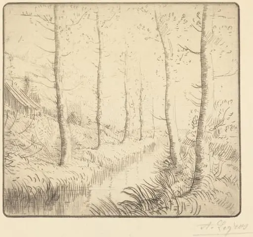 Birch Trees along the Water (Les bouleaux: Bord de l'eau), by Alphonse Legros, ink, 1874