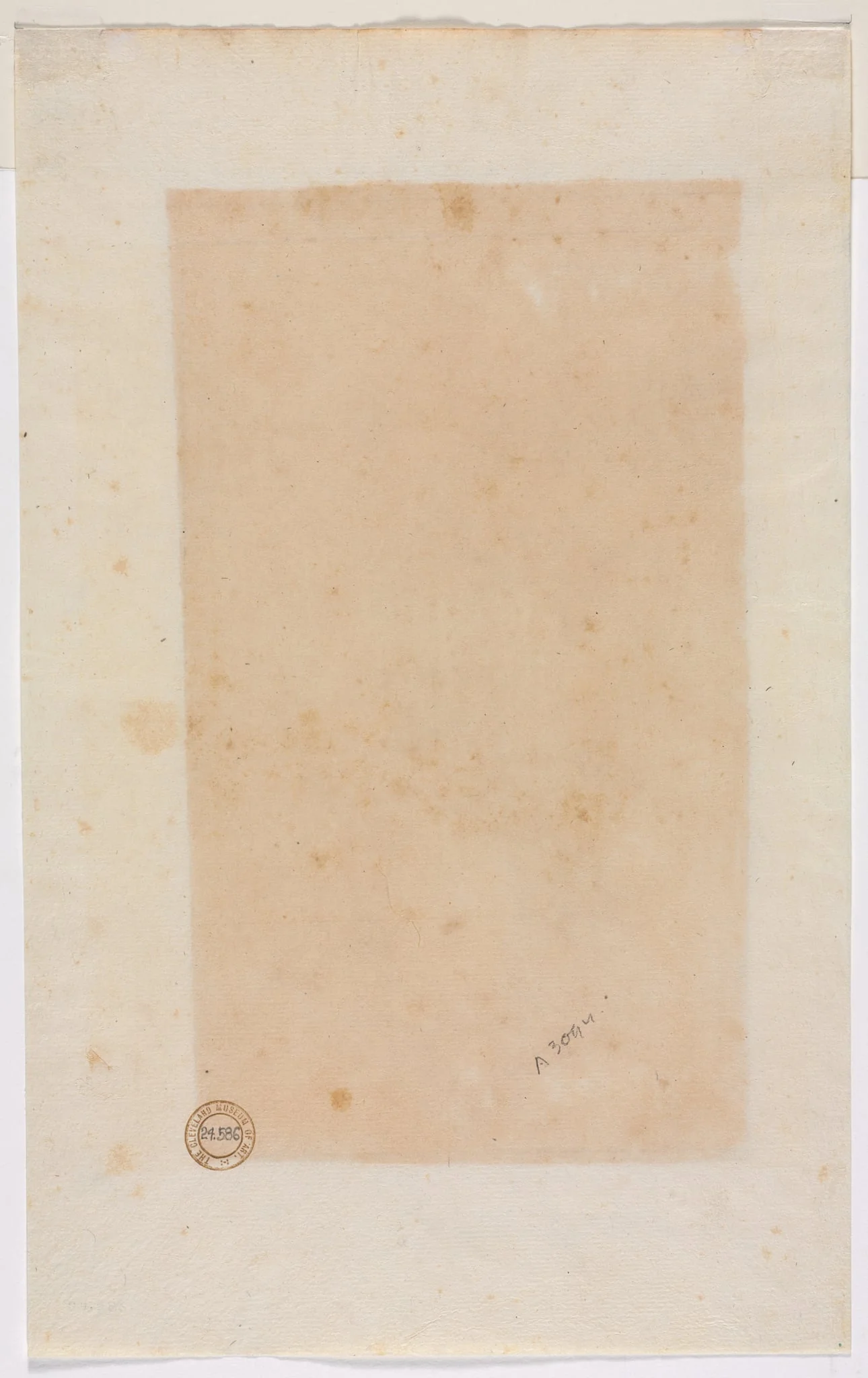 Border Lines (verso), detail
