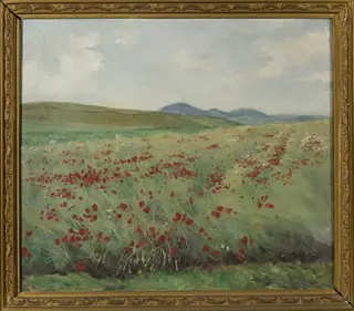 Field of poppies, by Henryk Weyssenhoff, unspecified, 1900