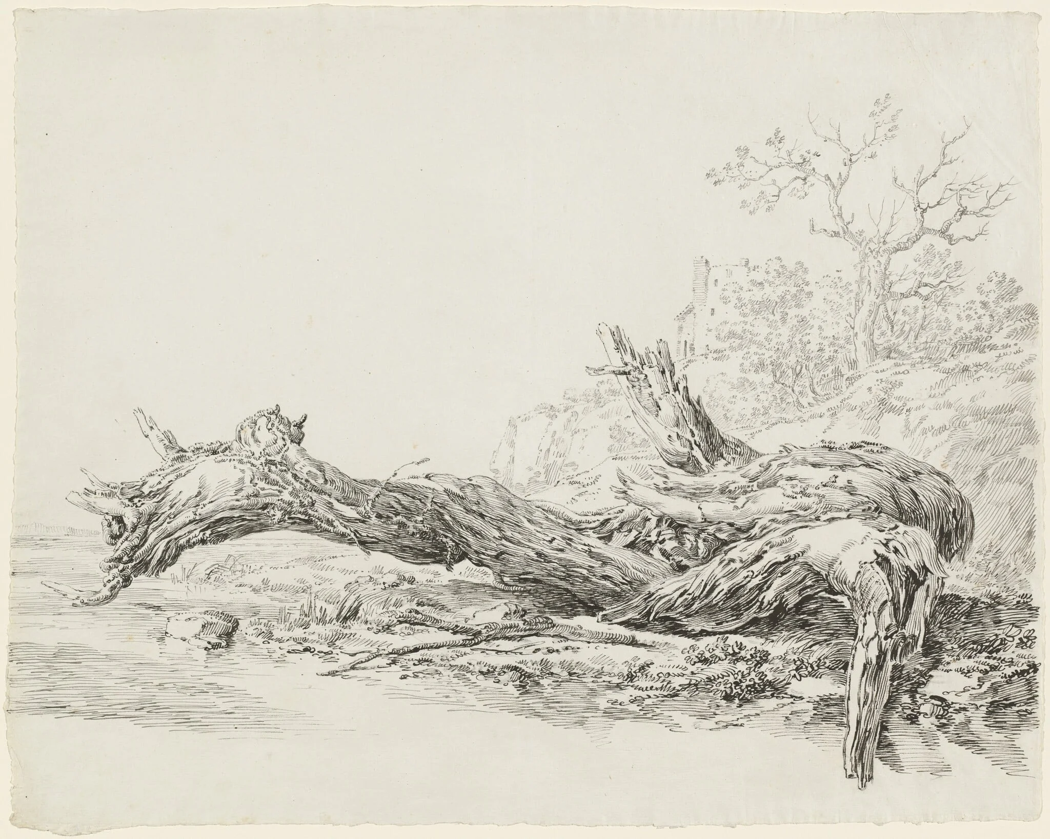 An Ancient Tree Fallen Beside a Stream, detail