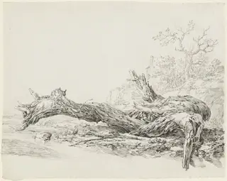 An Ancient Tree Fallen Beside a Stream, by Jean-Antoine Constantin, chalk, 1814