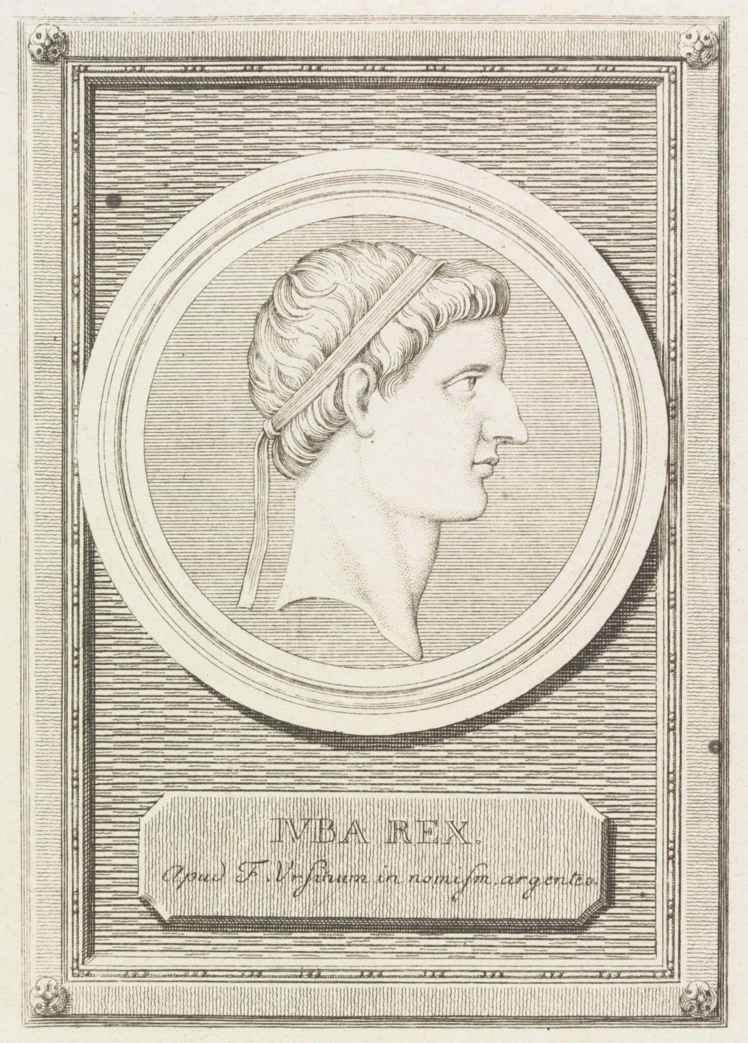 Iuba Rex, detail