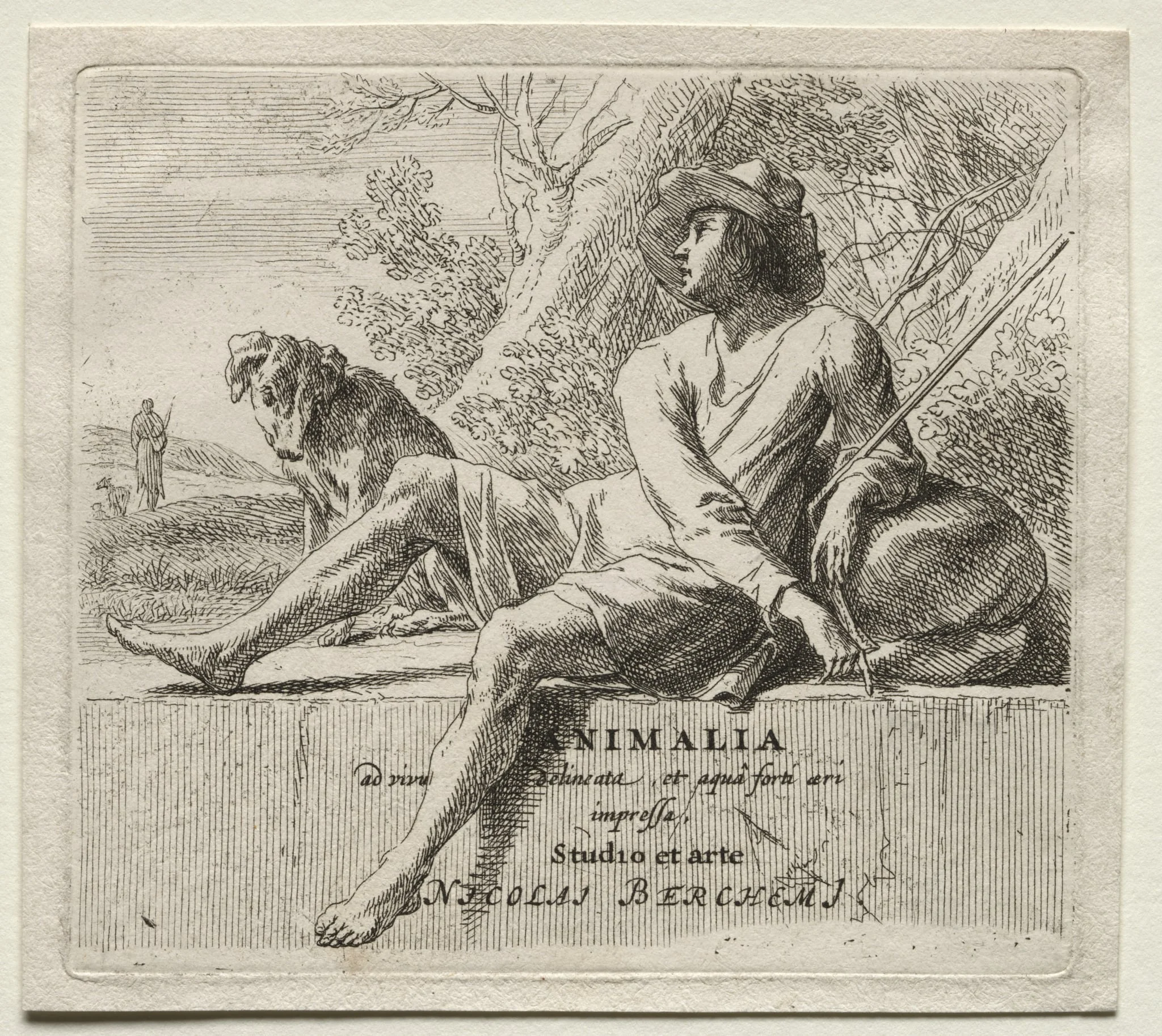 Animalia (series), detail