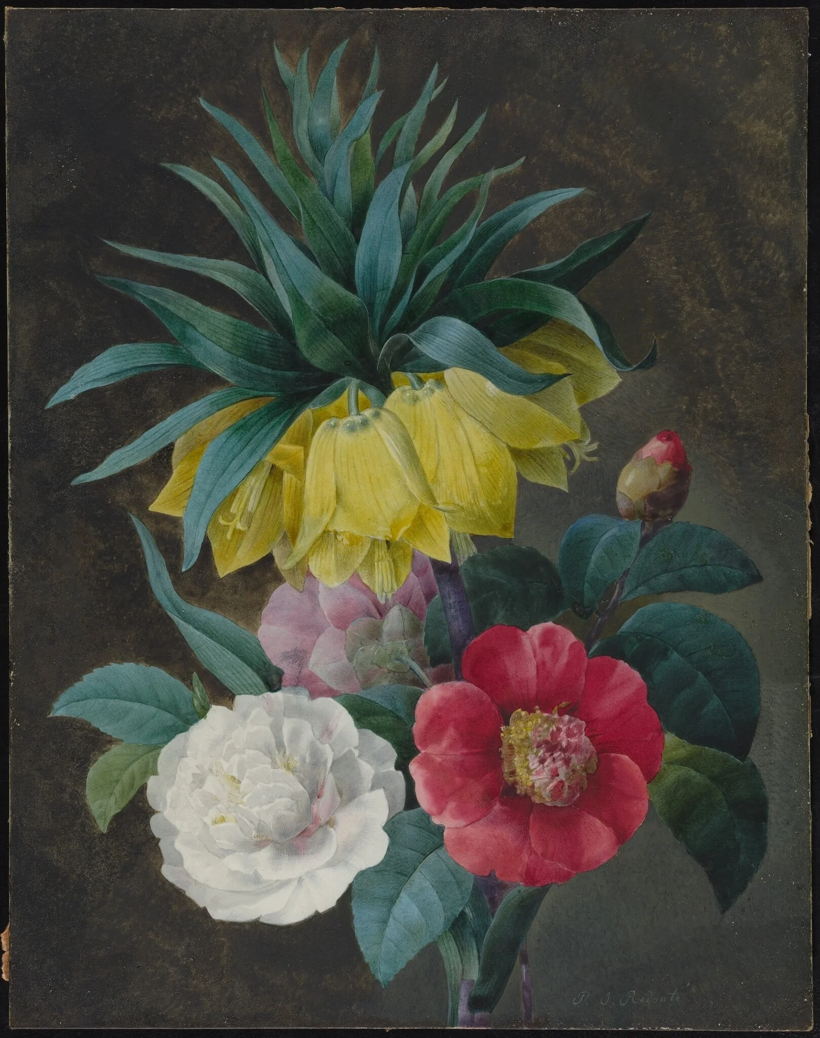 Four Peonies and a Crown Imperial, detail