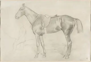 Saddled Horse with a Study of a Rider, by Edgar Degas, graphite, 1864