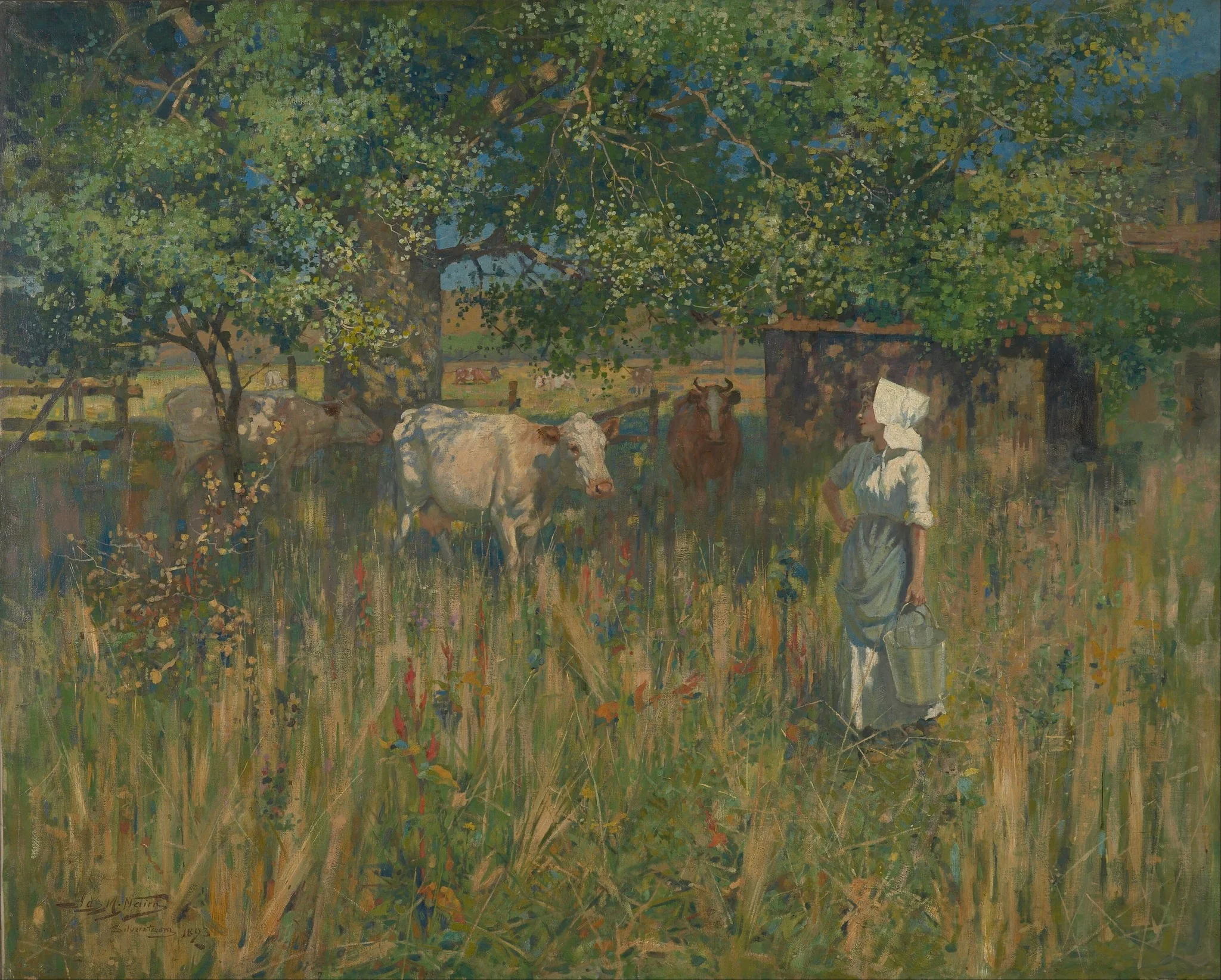 Tess, detail