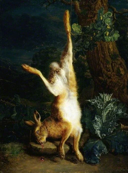 A dead hare, detail