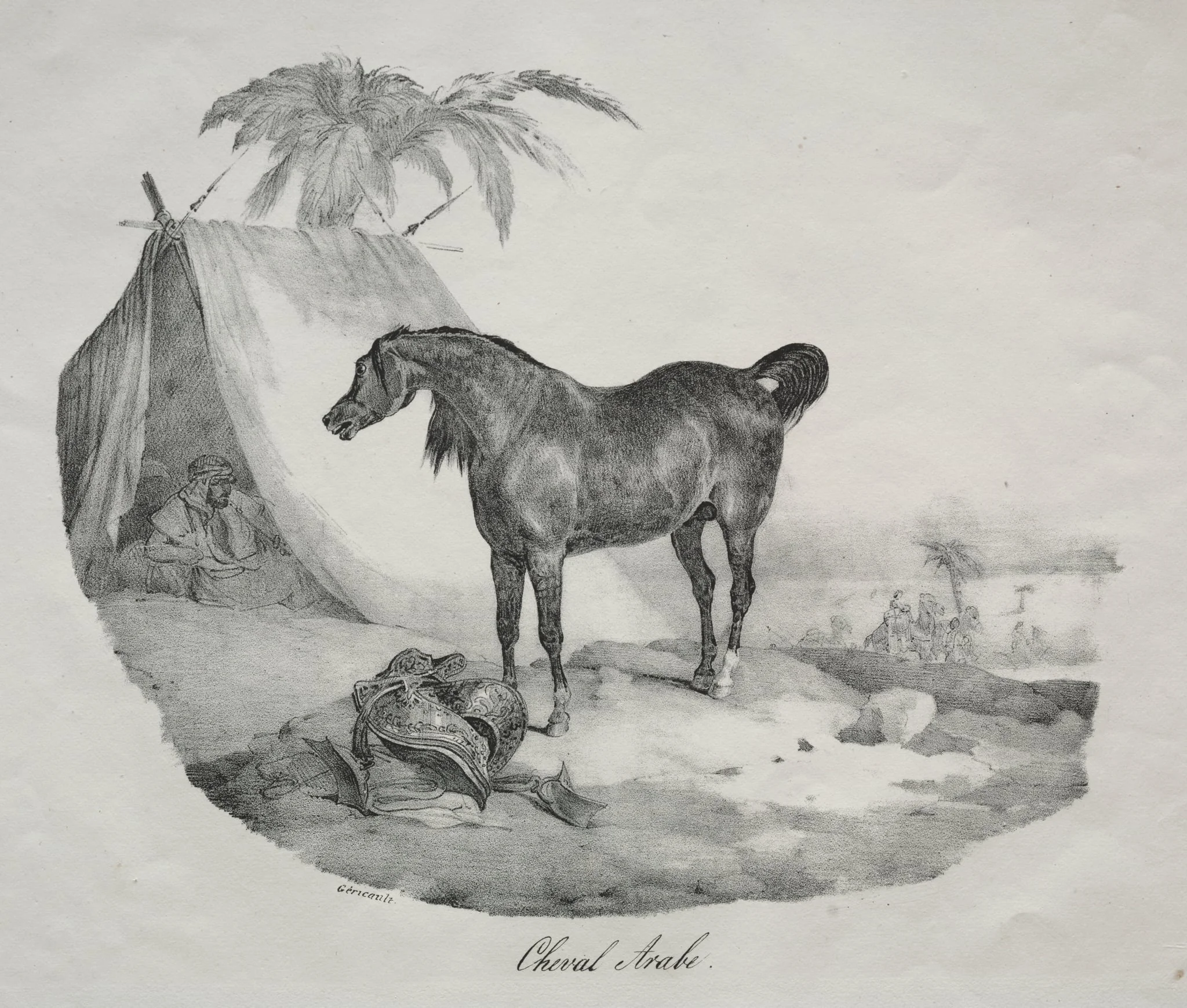 Arab Horse, detail