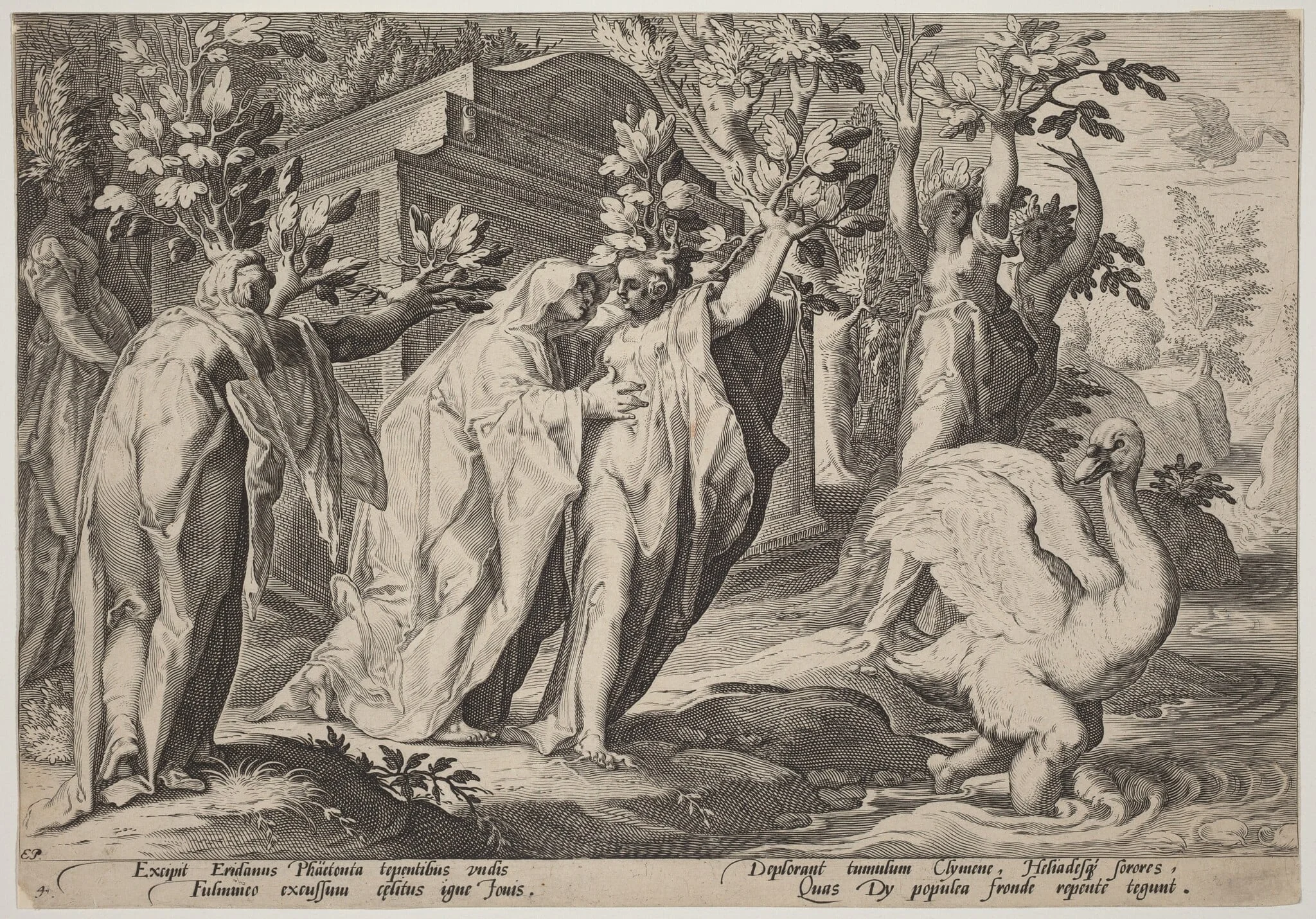 Phaeton's Sisters Changed into Poplars, and Cygnus into a Swan, detail