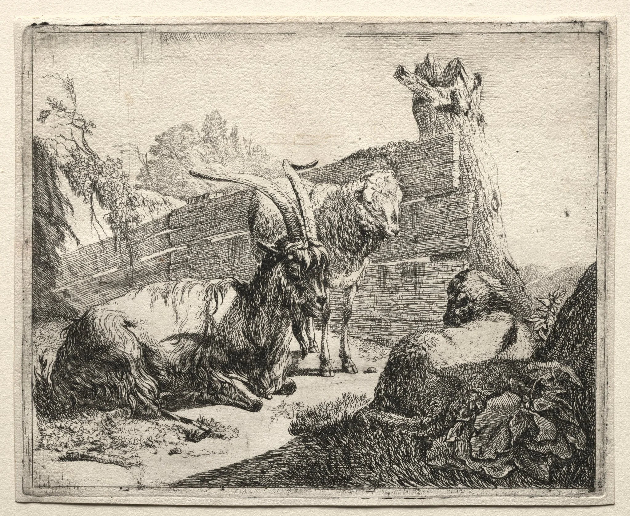 The Hedgerow, detail