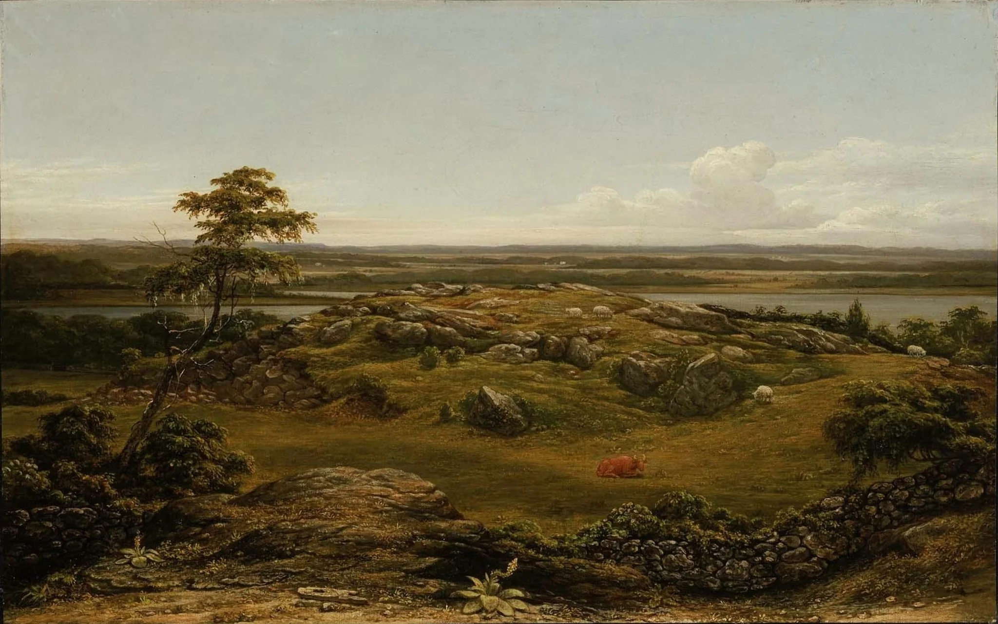 Rocks in New England, detail