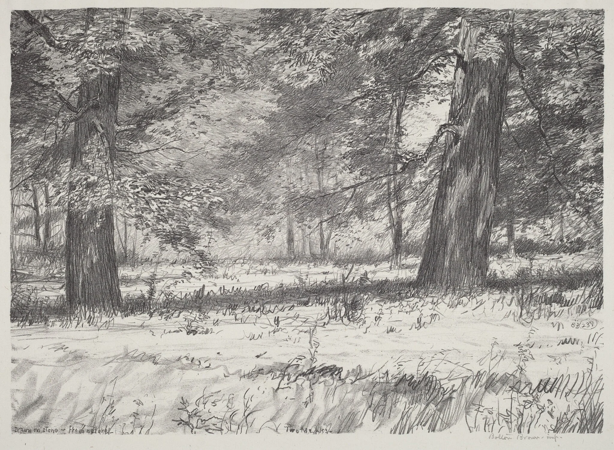 Two Maples, detail