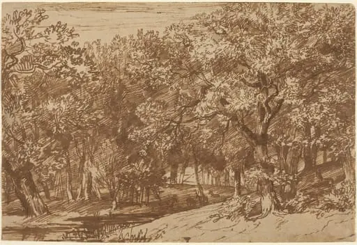 Deer Park, by Jan Lievens, ink, 1658