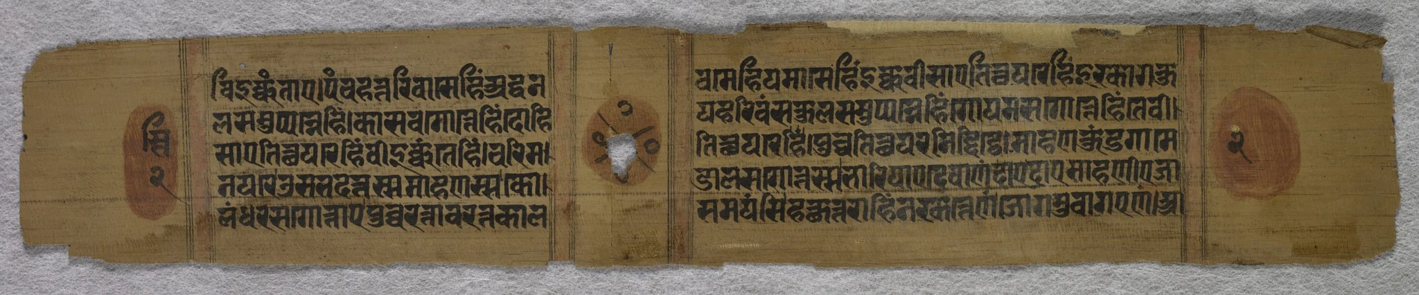Text: Folio 2 (verso), from a Kalpa-sutra, detail