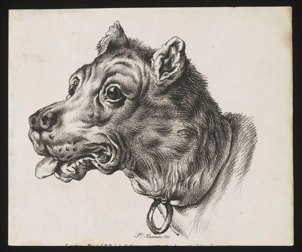 Untitled, by P. Simonau, 1825