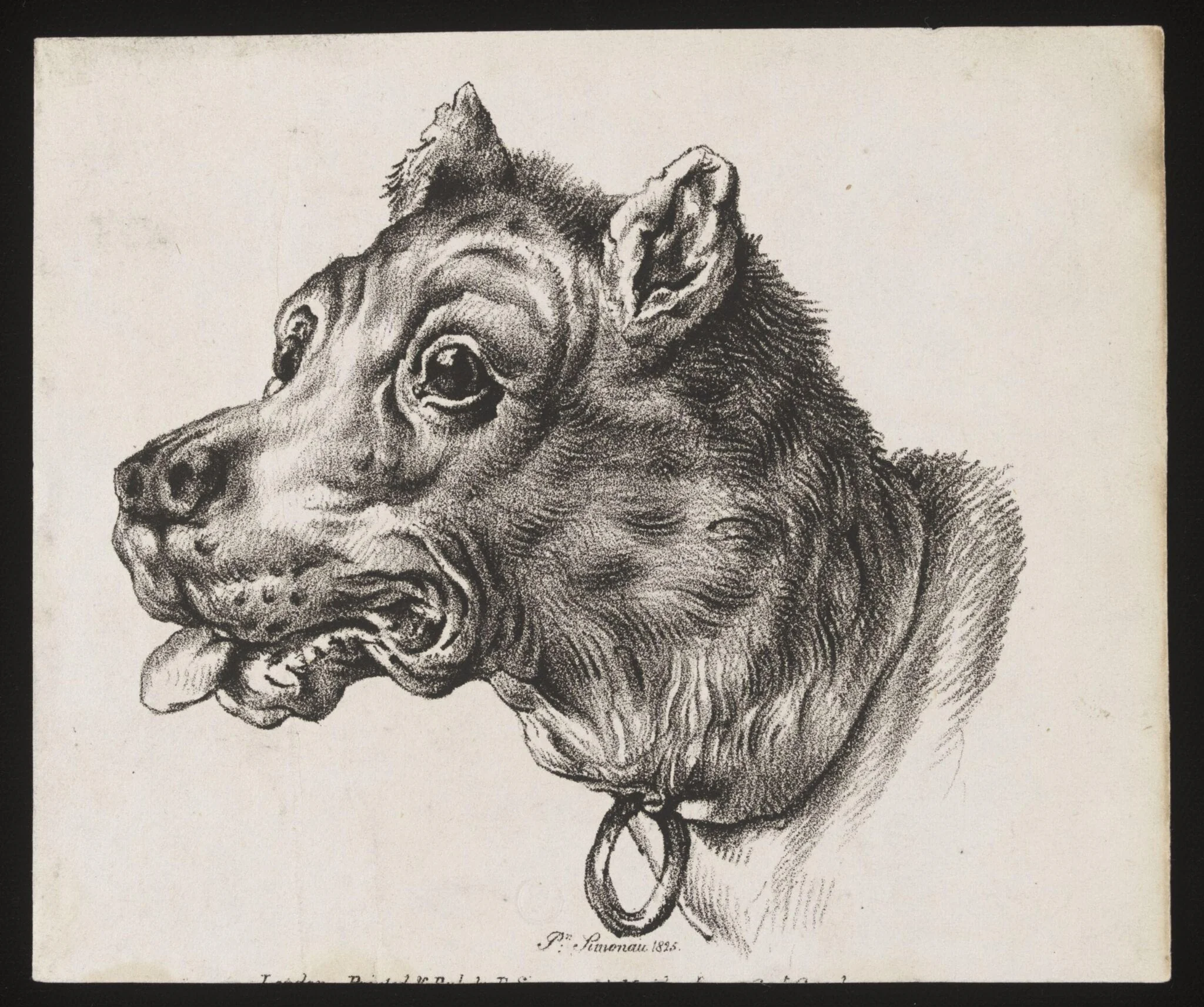 Untitled, detail