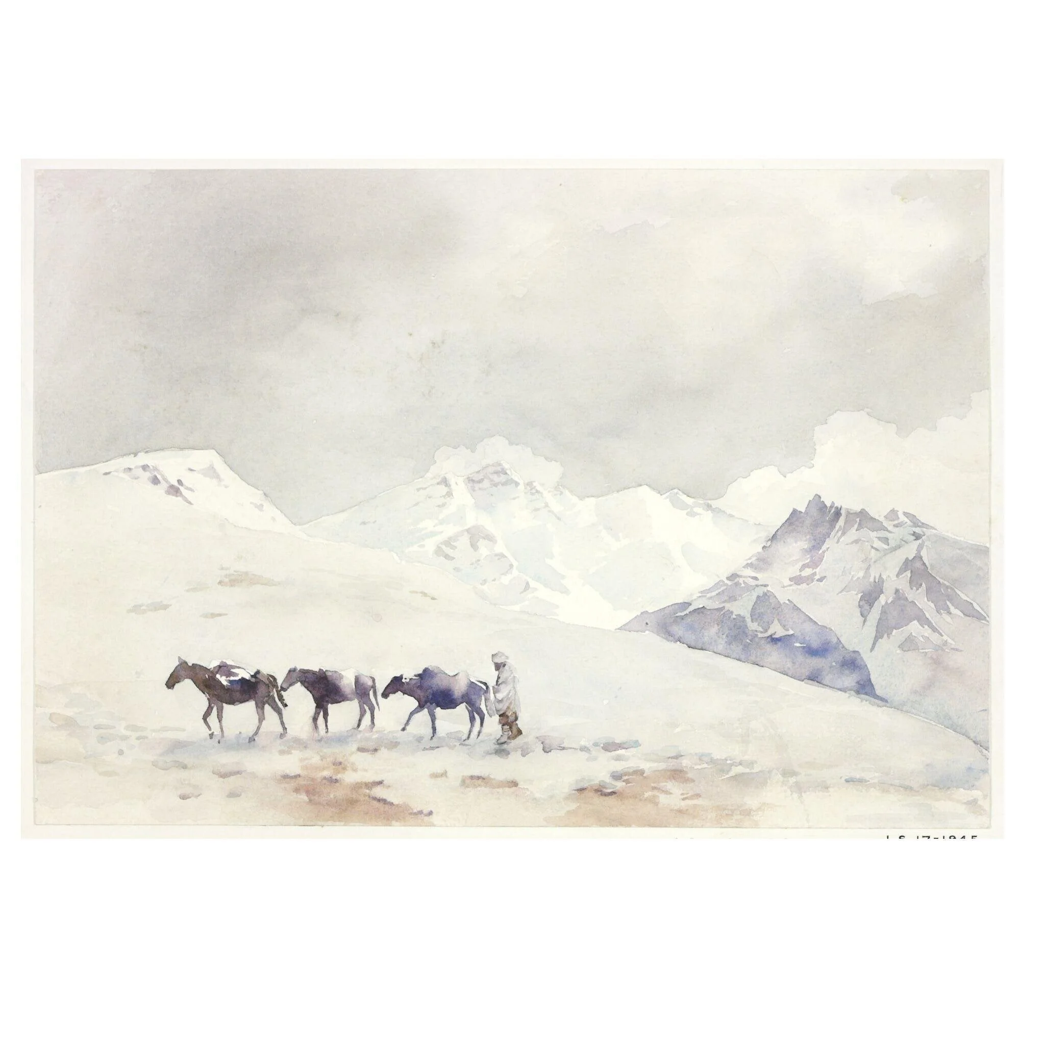 Kamri Pass, Kashmir, detail