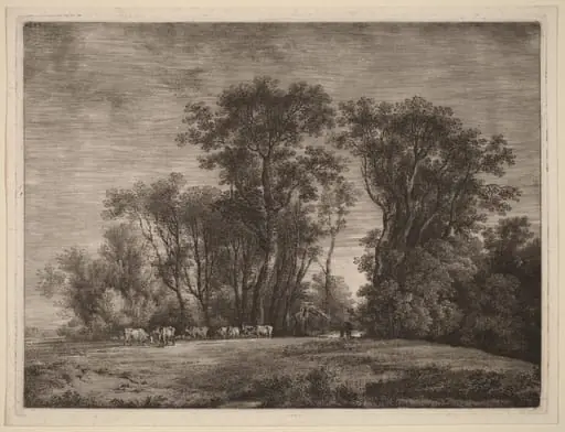 A Meadow with Cattle at the Edge of a Wood, by Martin von Molitor, ink, 1790