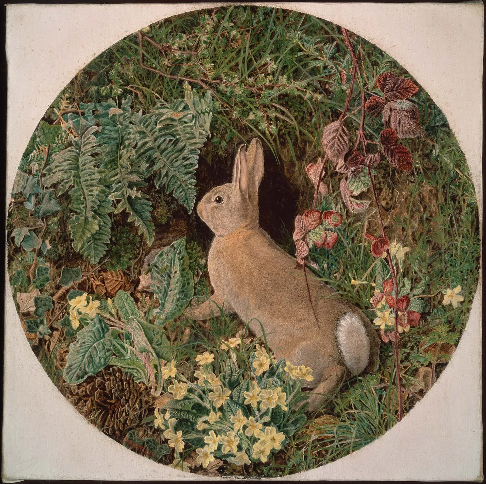 Rabbit amid Ferns and Flowering Plants, detail