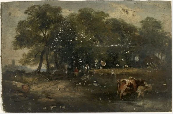 Near Garbally, County Galway, detail