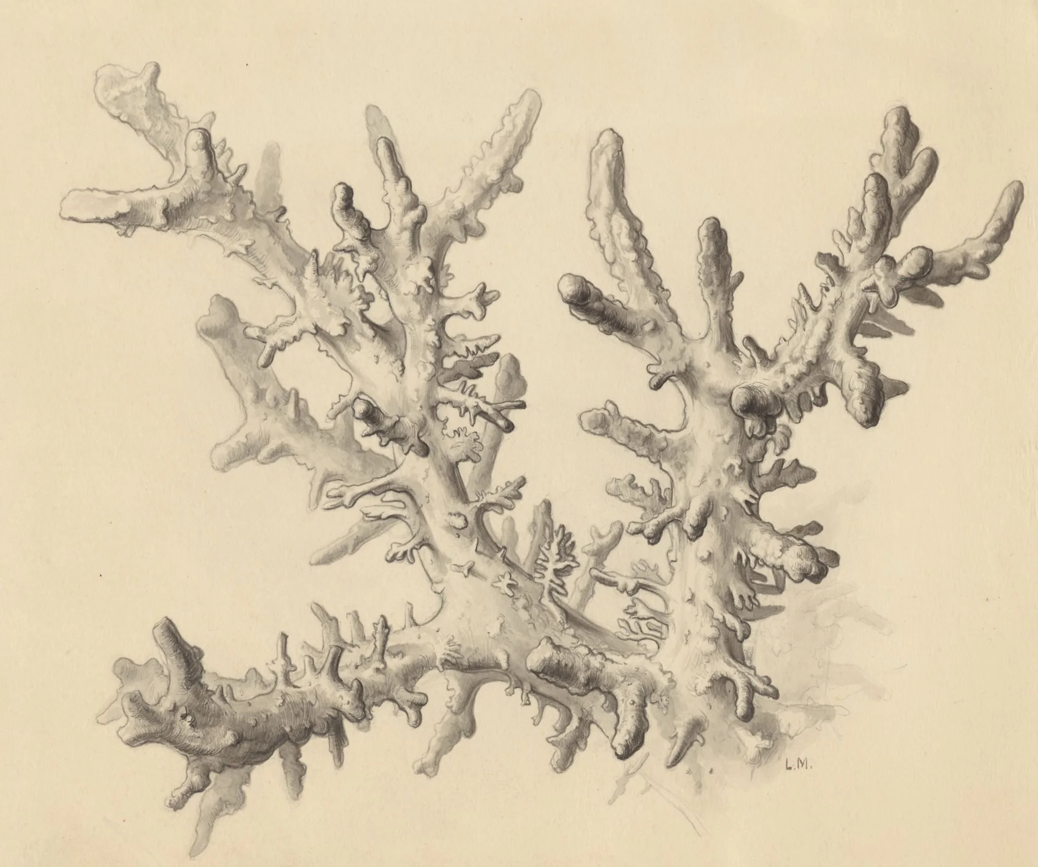 Part of the human anatomy, detail