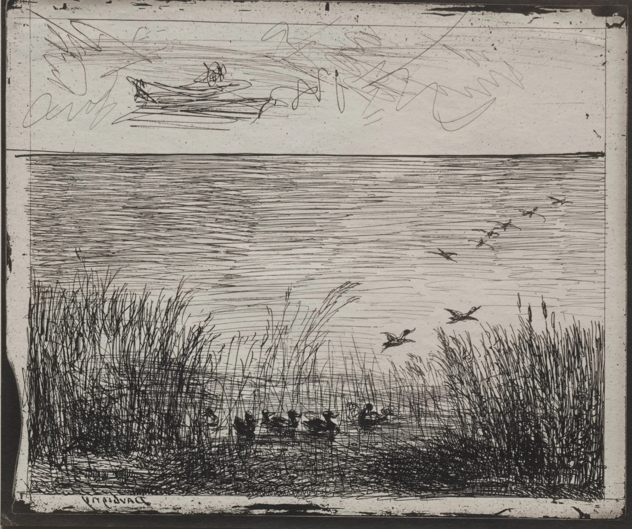Swamp with Ducks, detail