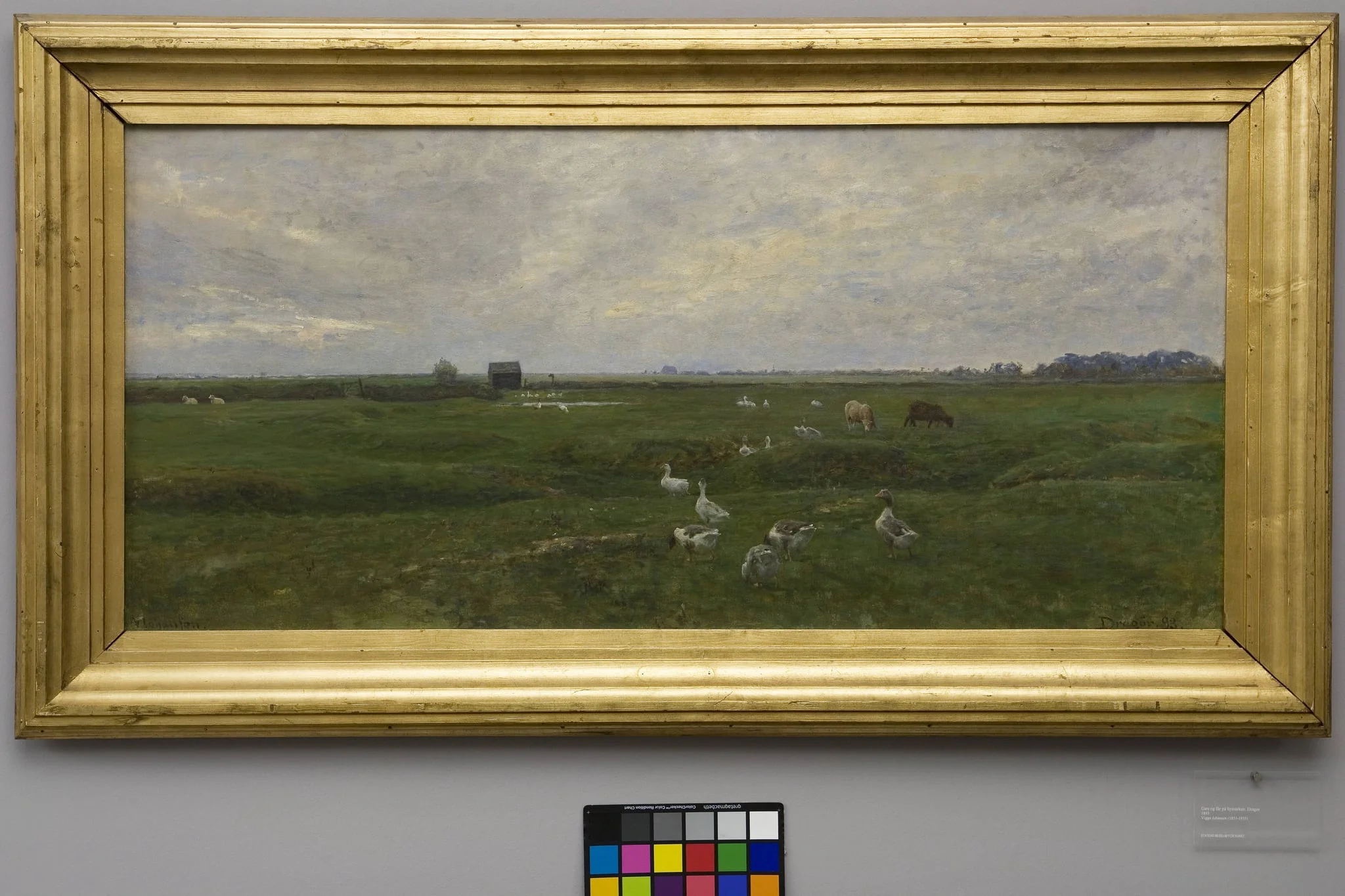 Geese by a Lake. A Storm is Brewing. Dragør, the Island of Amager, detail