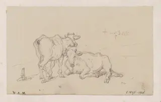 Two cows, by George Chinnery, 6