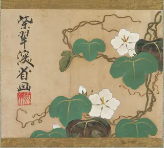 Evening Glories, by Ogata Kenzan, unspecified
