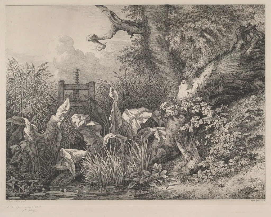 Water Dock and Brambles at a Sluice, by Eugène Bléry, ink, 1843