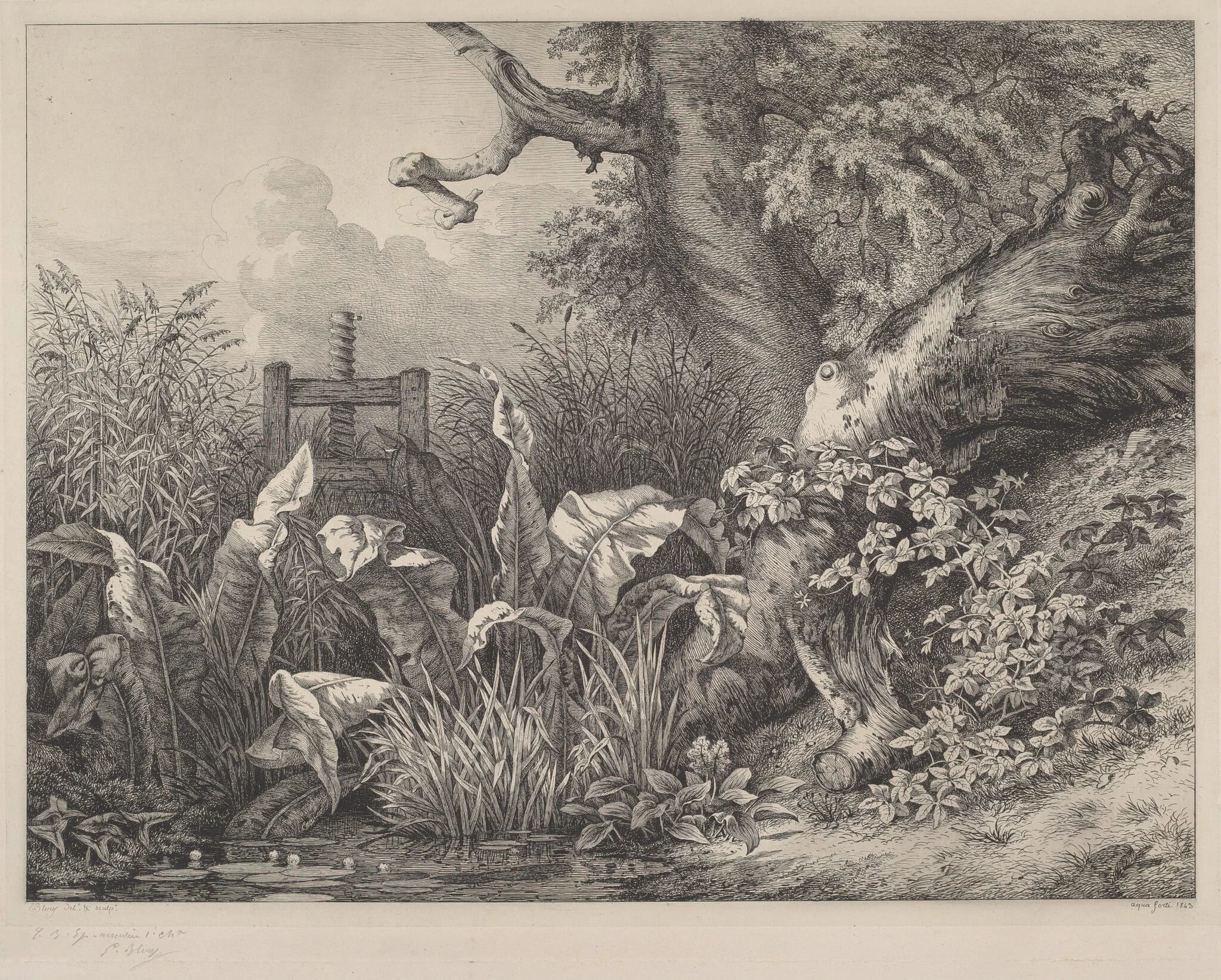 Water Dock and Brambles at a Sluice, detail