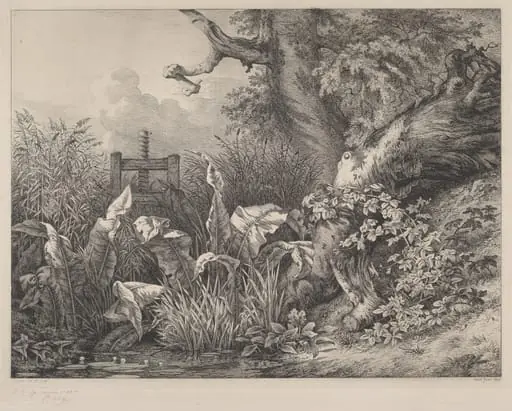 Water Dock and Brambles at a Sluice, by Eugène Bléry, ink, 1843
