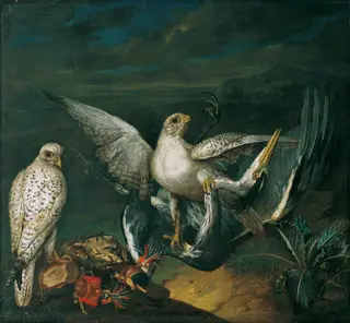 Bird piece, with four different vultures, by Philipp Ferdinand de Hamilton, oil, 1748