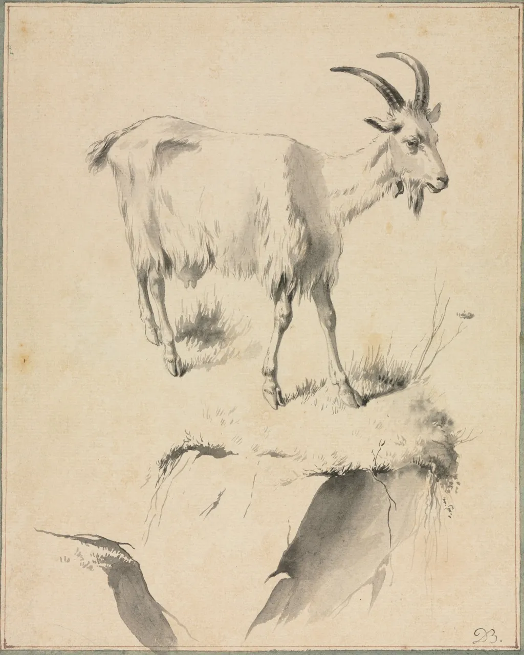Study of a Goat, by Jean-Jacques de Boissieu, 1704