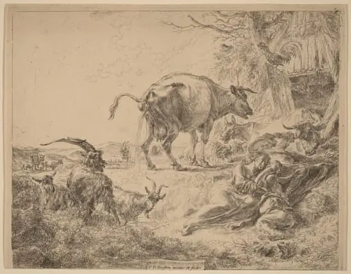 Cow Pissing, by Nicolaes Pieterszoon Berchem, ink, 1652