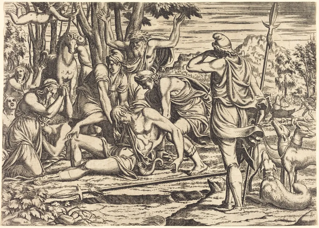 The Death of Adonis, by Léon Davent, ink, 1538
