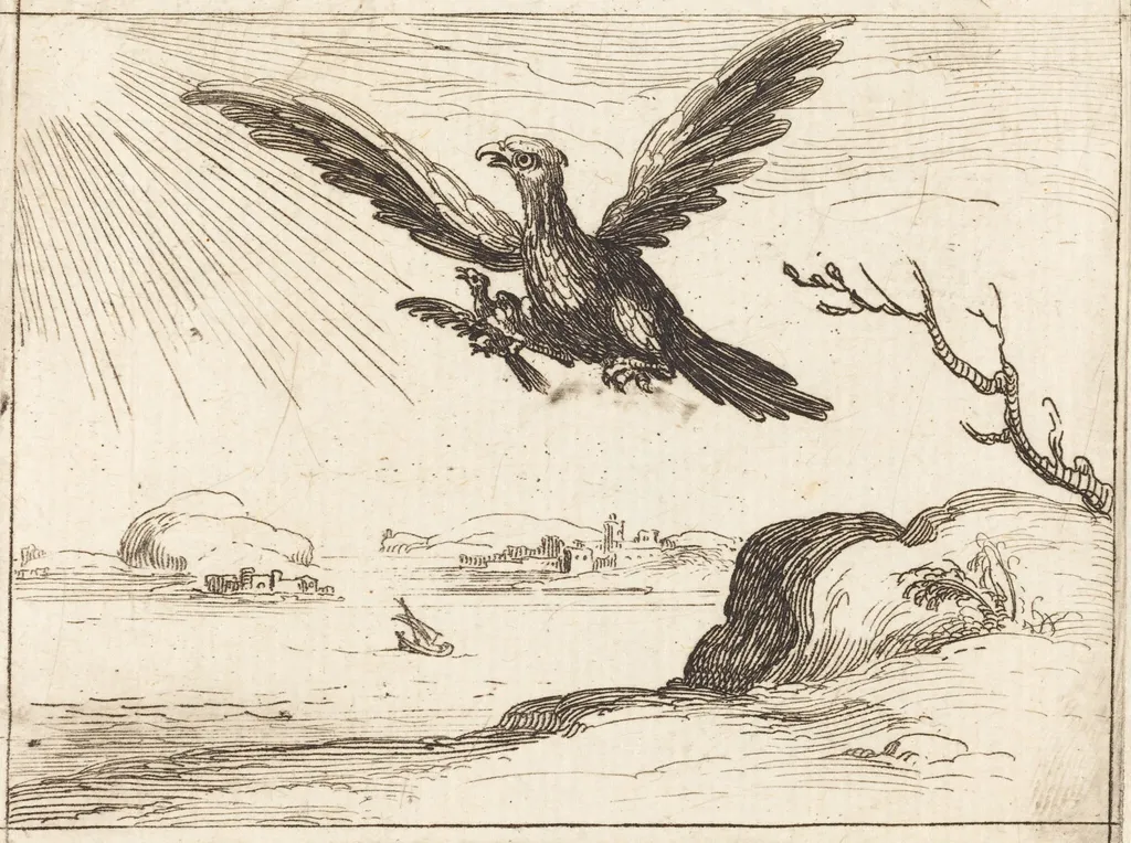 Eagle and Young, by Jacques Callot, ink, 1628