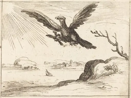 Eagle and Young, by Jacques Callot, ink, 1628