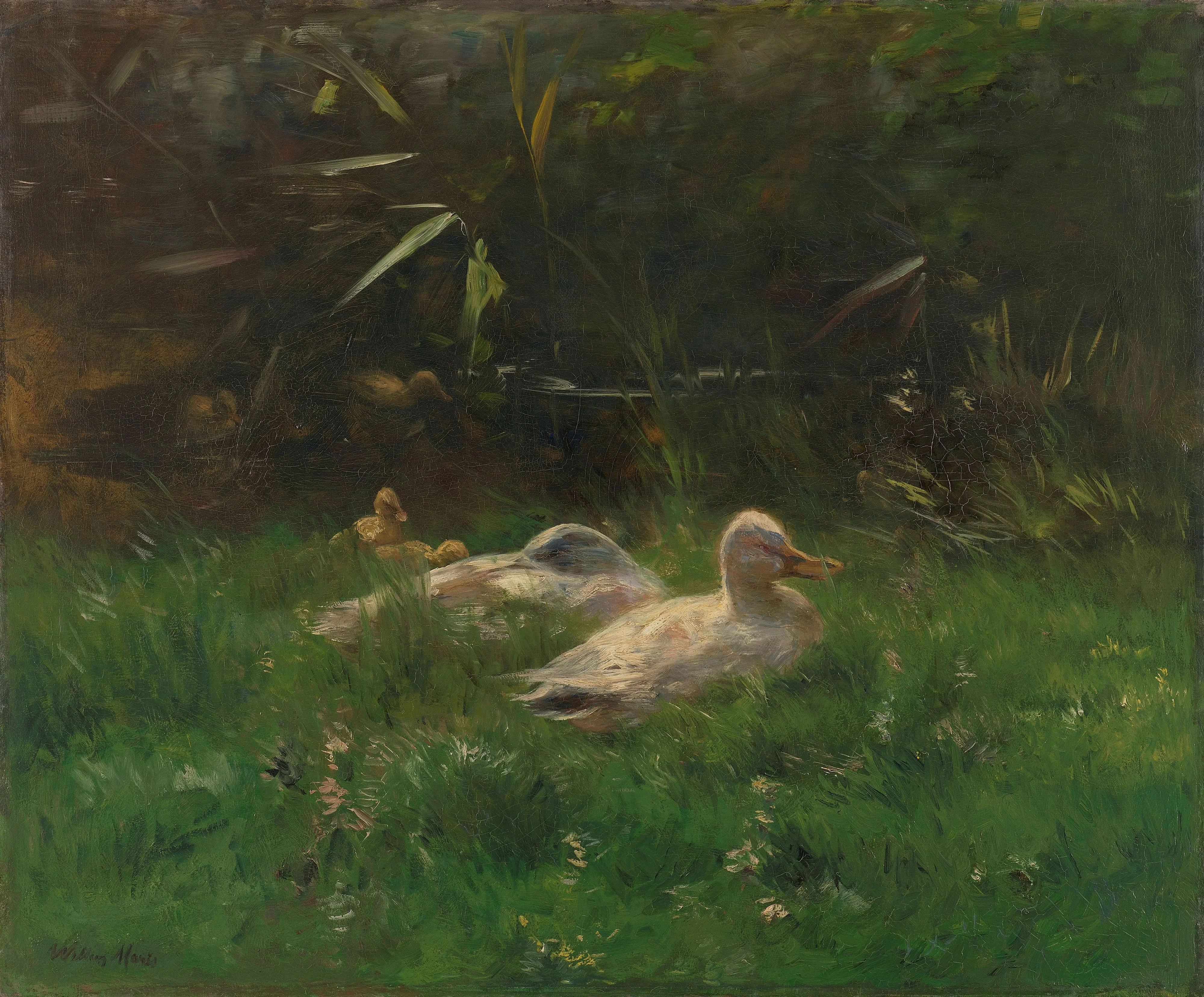 Ducks, detail