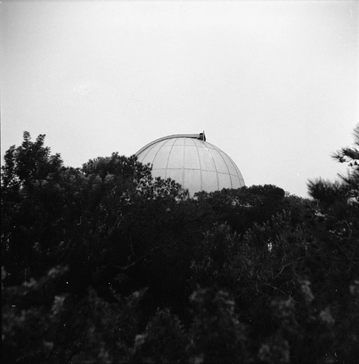 Άτιτλο, detail