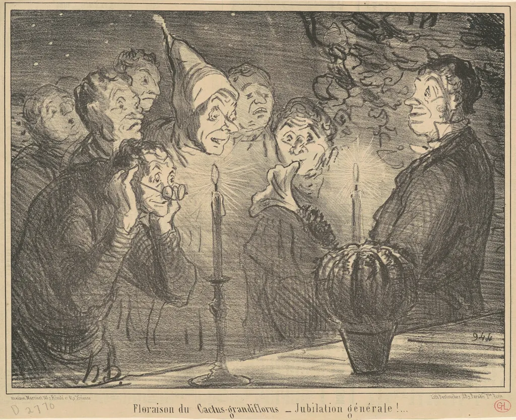 Floraison du Cactus-grandiflorus..., by Honoré Daumier, ink, 1856