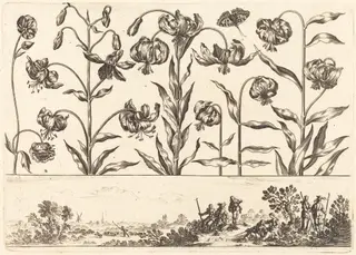 Flower Print no.5, by Nicolas Cochin, ink, 1645