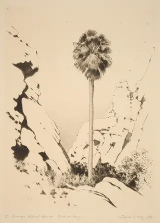 Palm Canyon (no.1), by George Elbert Burr, ink, 1920