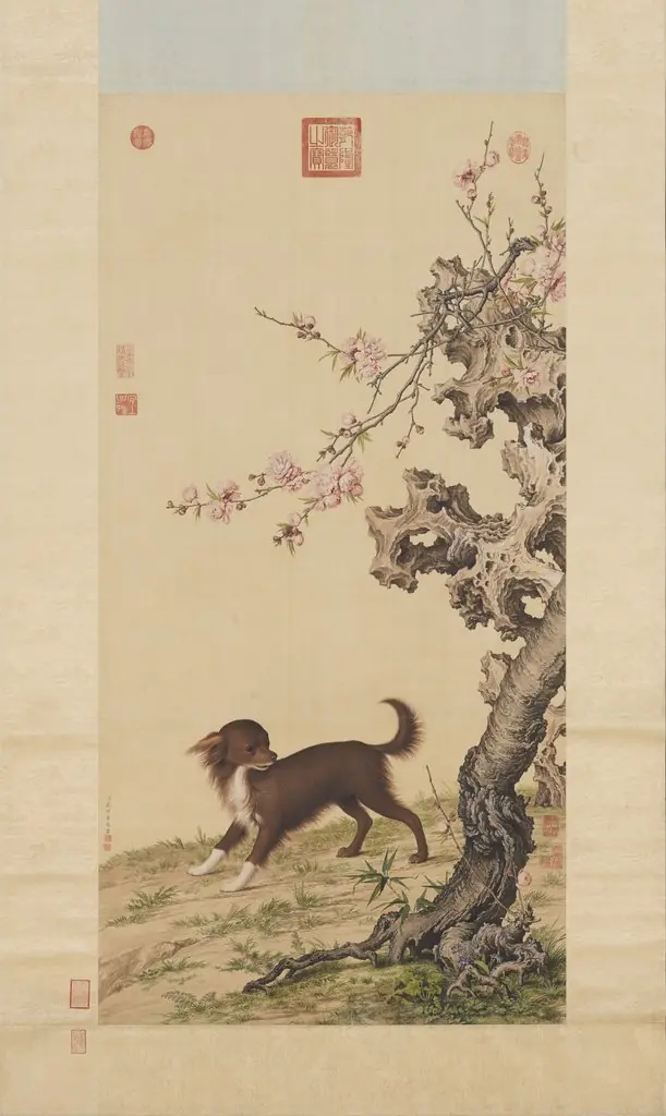 Long-haired Dog Beneath Blossoms, by Giuseppe Castiglione, unspecified, 1737