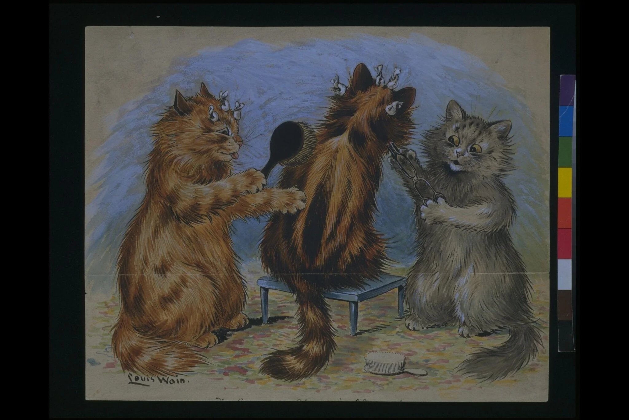 Three kittens preparing for exhibition, detail