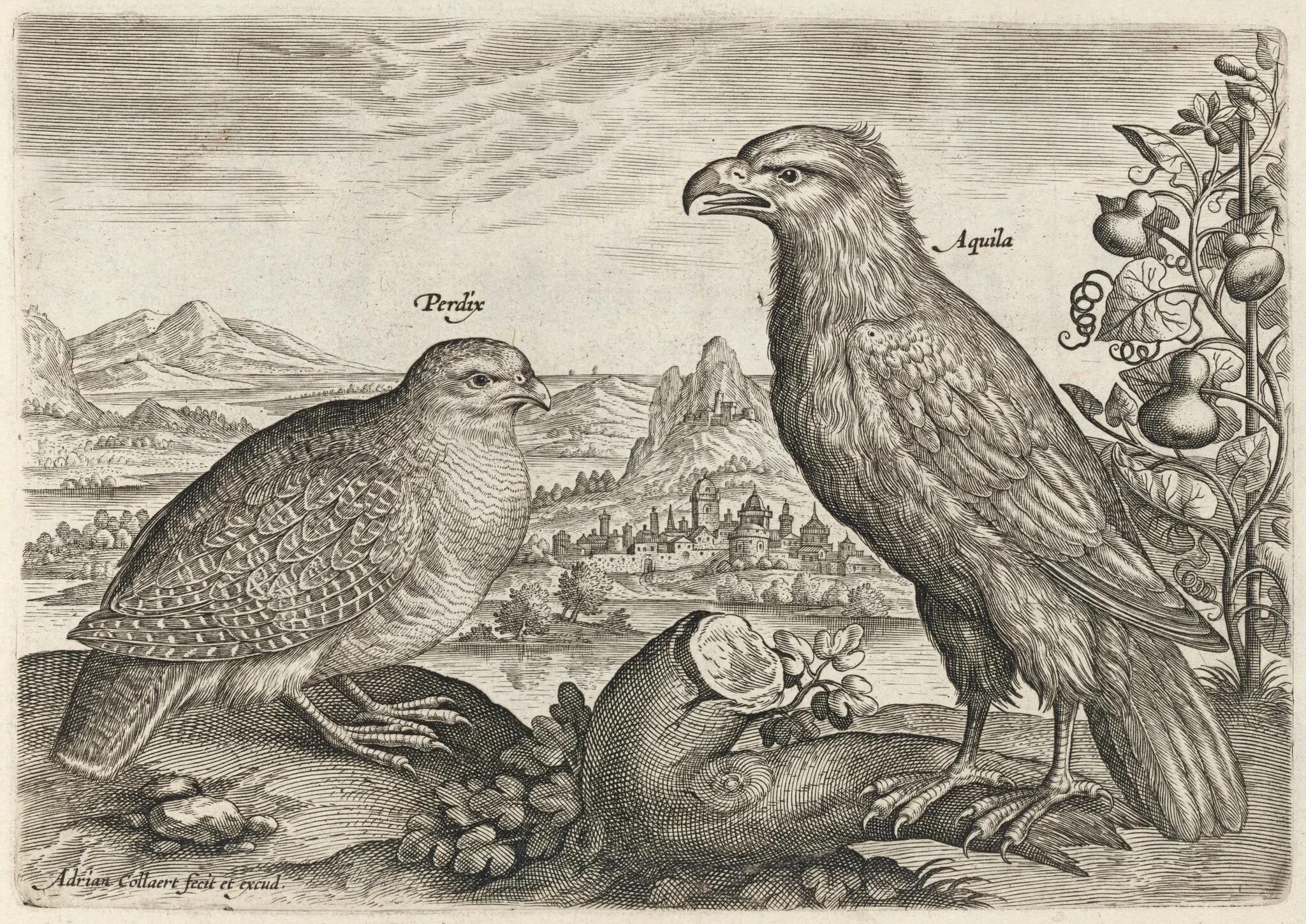 Partridge and Eagle, detail