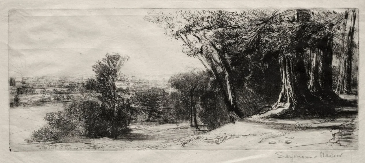 Early Morning, Richmond Park, detail