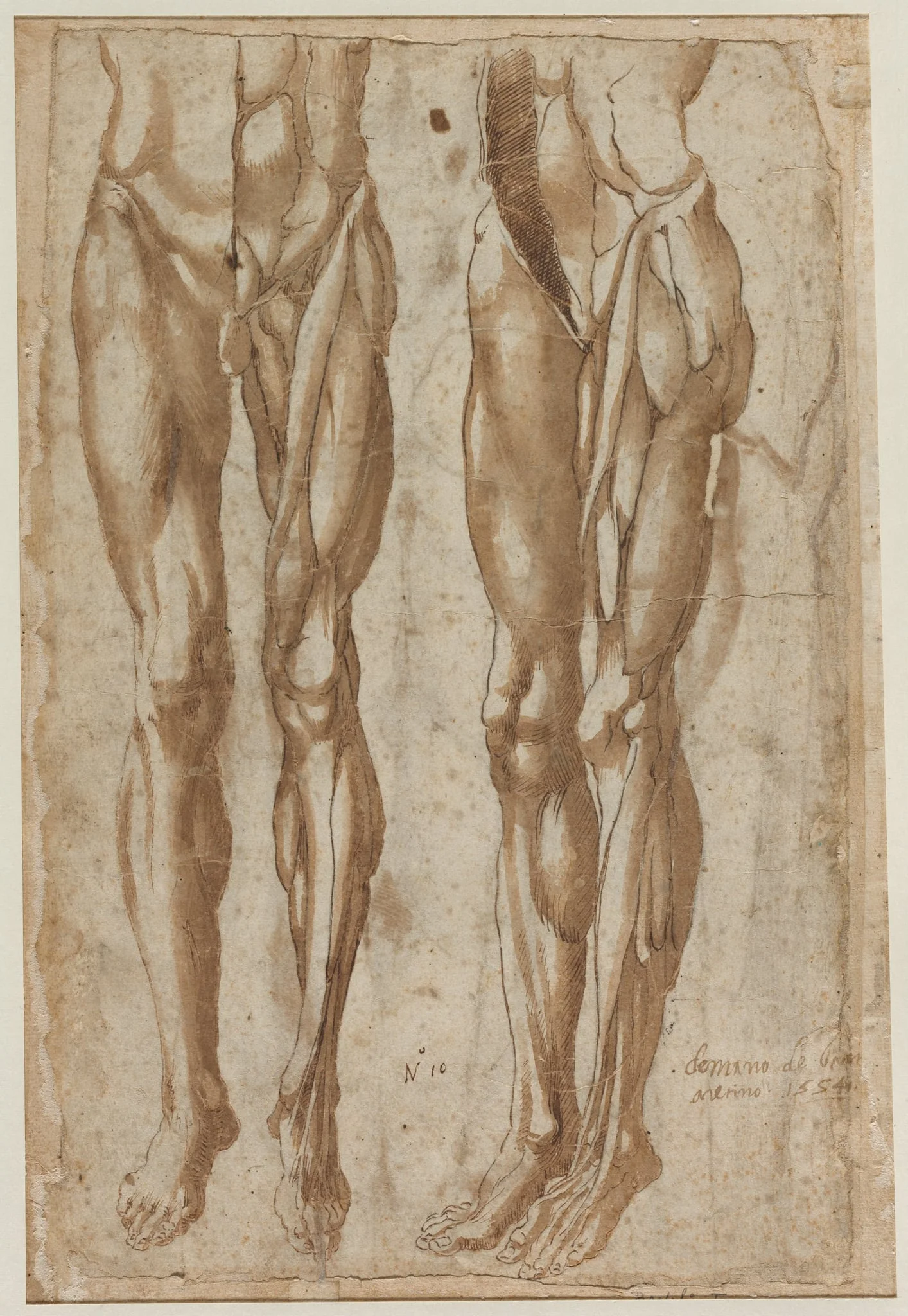 Two Studies of a Flayed Man (recto), detail